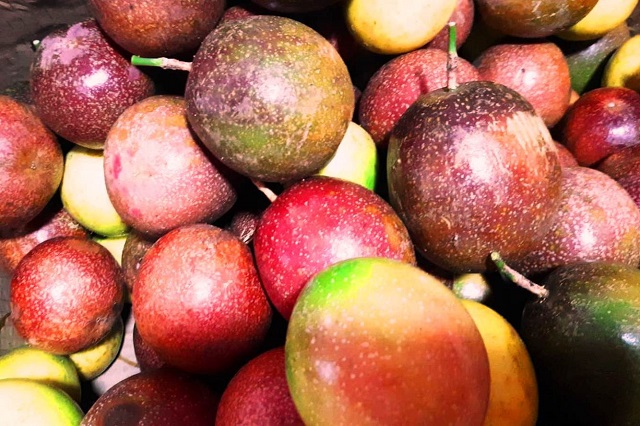 Passionfruit